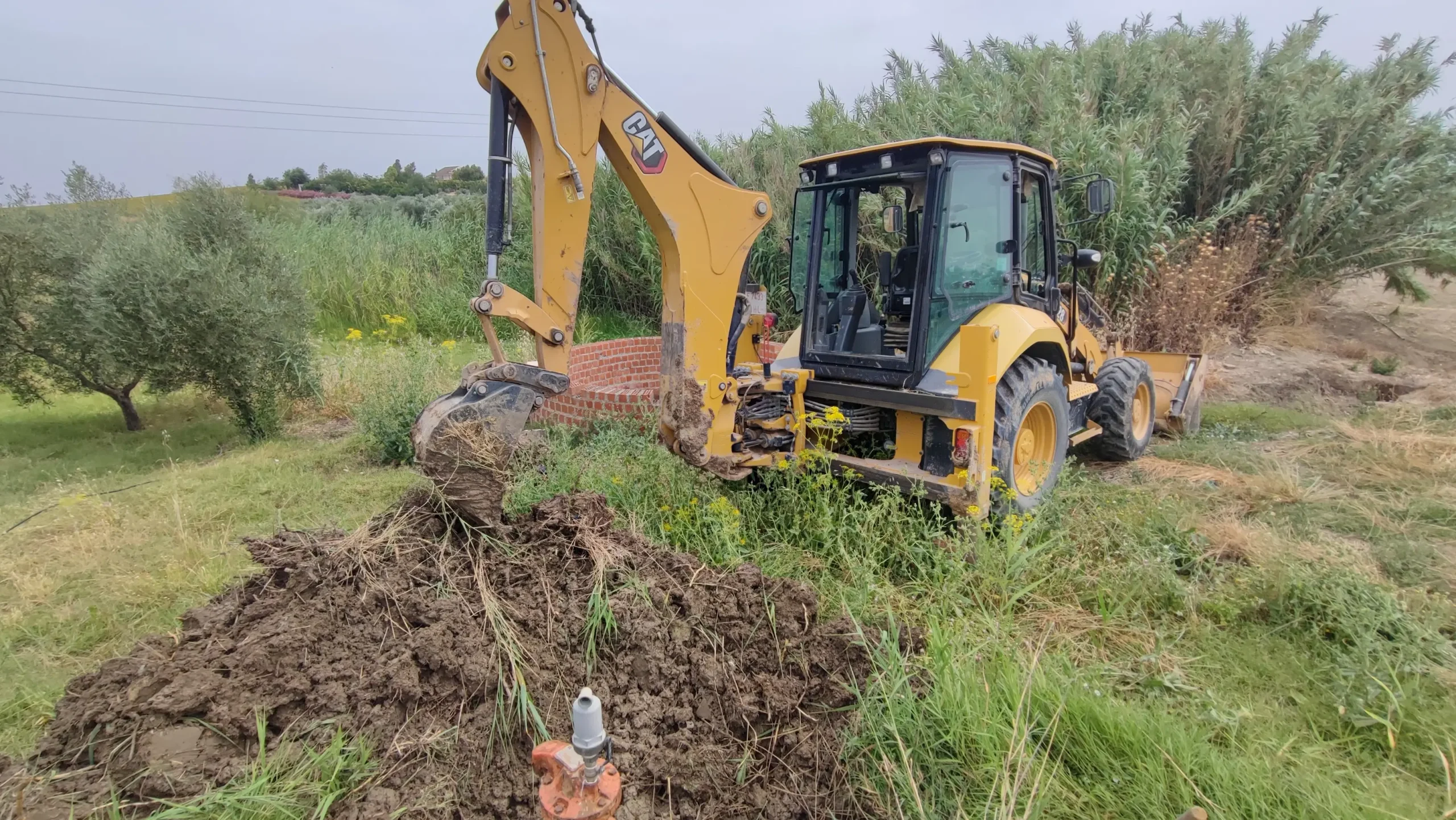 Foto trabajos agricolas
